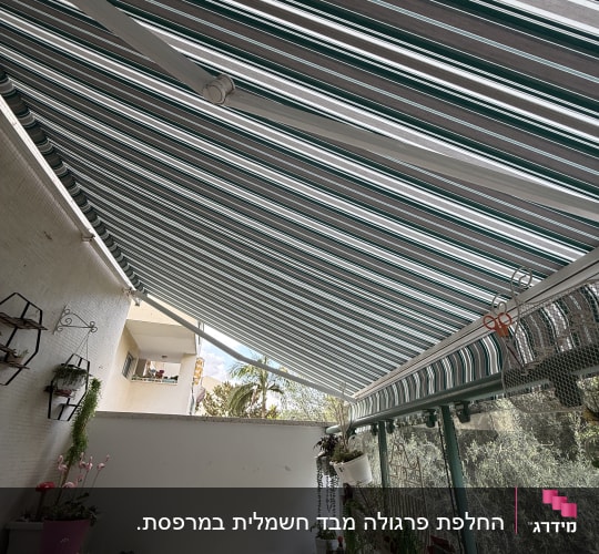 מרפסת עם סוכך ופרחים תלויים